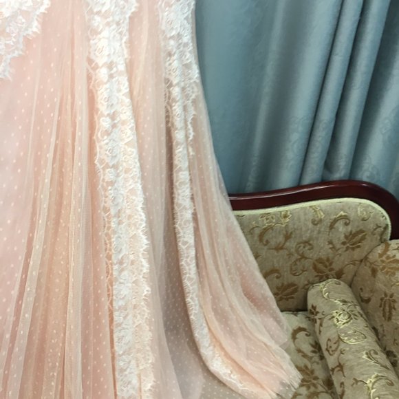 BLUSH Champagne Lace Rustic Wedding Dress, Cap Sleeve, Boat Neck Elegant Mother - Picture 15 of 15